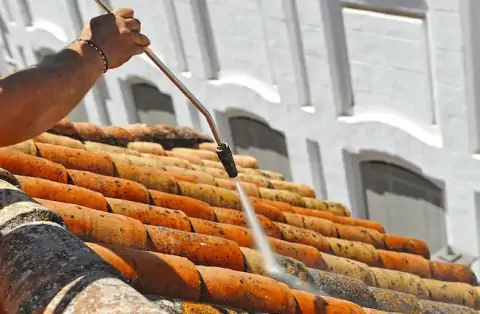 Démoussage de toiture à Treffieux